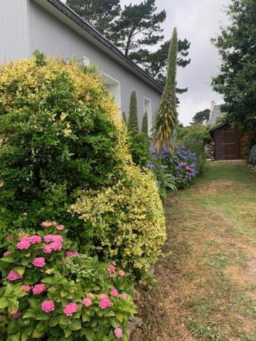 Maison 400M De La Plage Crozon Ngoại thất bức ảnh